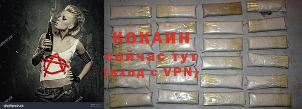 дживик Верея