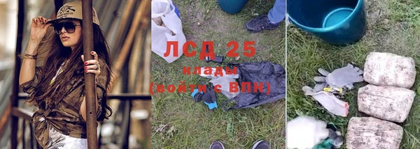 сатива Верхний Тагил