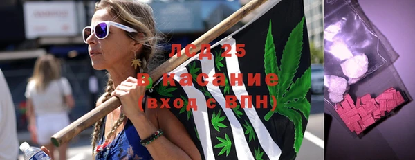 сатива Верхний Тагил